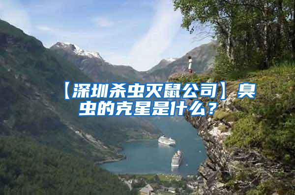 【深圳殺蟲滅鼠公司】臭蟲的克星是什么？