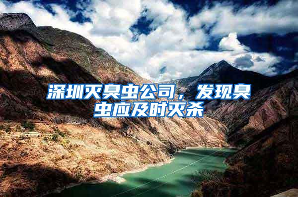深圳滅臭蟲公司，發(fā)現(xiàn)臭蟲應及時滅殺