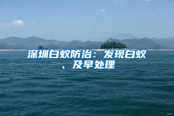 深圳白蟻防治：發(fā)現白蟻、及早處理