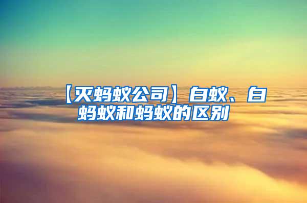【滅螞蟻公司】白蟻、白螞蟻和螞蟻的區(qū)別