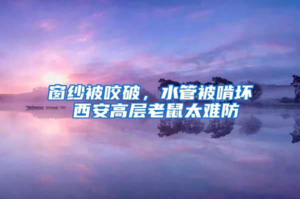 窗紗被咬破，水管被啃壞 西安高層老鼠太難防