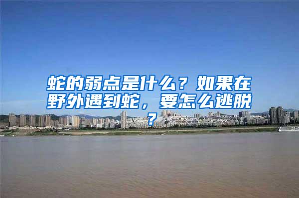 蛇的弱點(diǎn)是什么？如果在野外遇到蛇，要怎么逃脫？