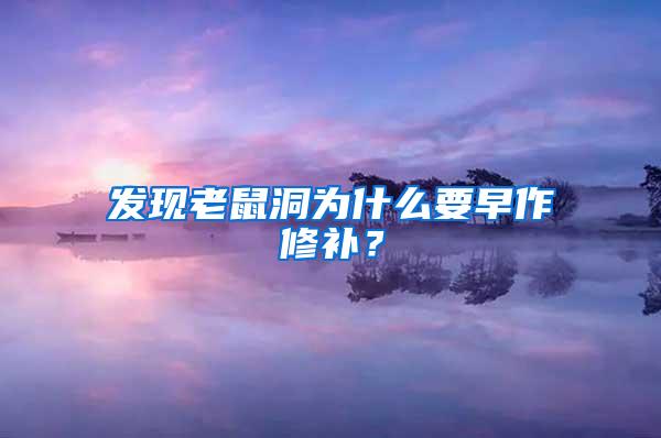發(fā)現(xiàn)老鼠洞為什么要早作修補(bǔ)？