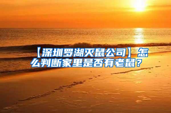 【深圳羅湖滅鼠公司】怎么判斷家里是否有老鼠?