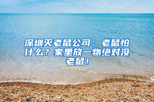深圳滅老鼠公司：老鼠怕什么？家里放一物絕對(duì)沒老鼠！