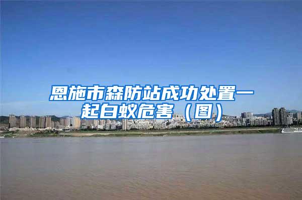 恩施市森防站成功處置一起白蟻危害(圖)