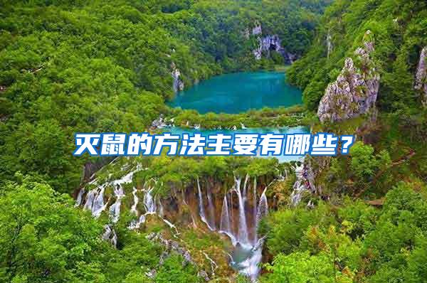 滅鼠的方法主要有哪些？