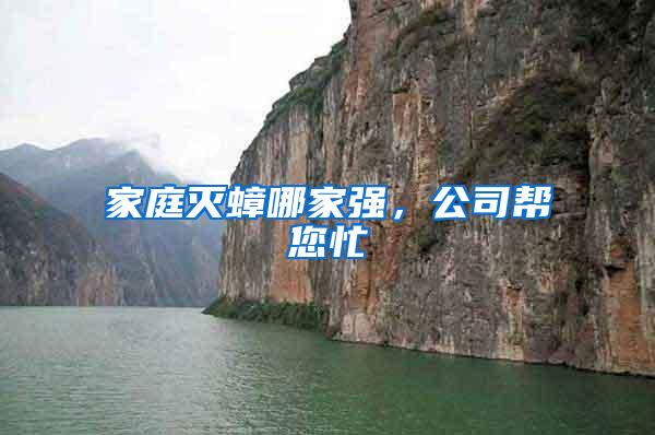 家庭滅蟑哪家強(qiáng)，公司幫您忙