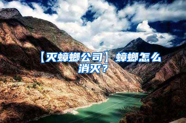 【滅蟑螂公司】蟑螂怎么消滅？