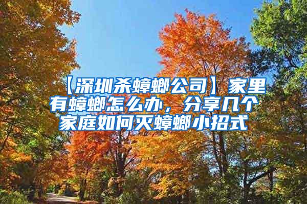 【深圳殺蟑螂公司】家里有蟑螂怎么辦,分享幾個(gè)家庭如何滅蟑螂小招式