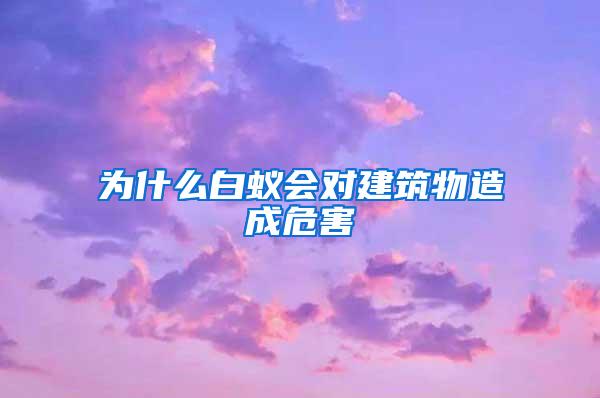 為什么白蟻會(huì)對(duì)建筑物造成危害
