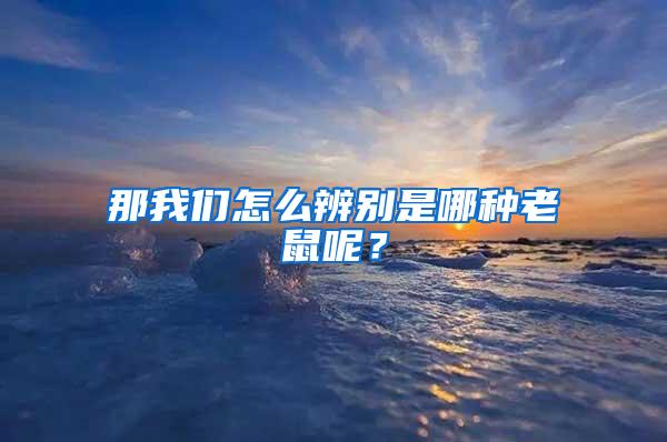 那我們?cè)趺幢鎰e是哪種老鼠呢？