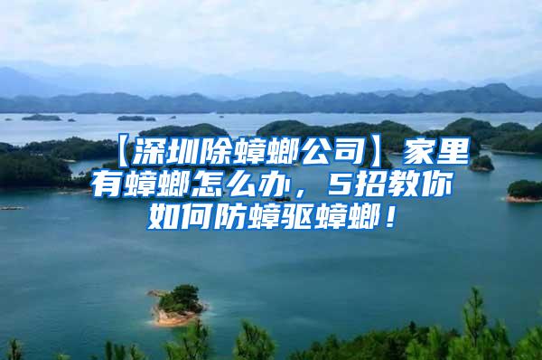【深圳除蟑螂公司】家里有蟑螂怎么辦，5招教你如何防蟑驅蟑螂！