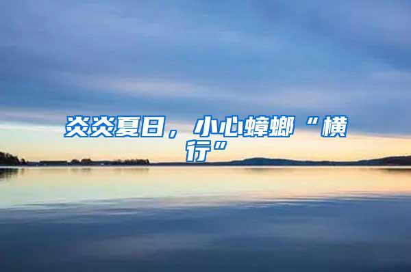 炎炎夏日，小心蟑螂“橫行”