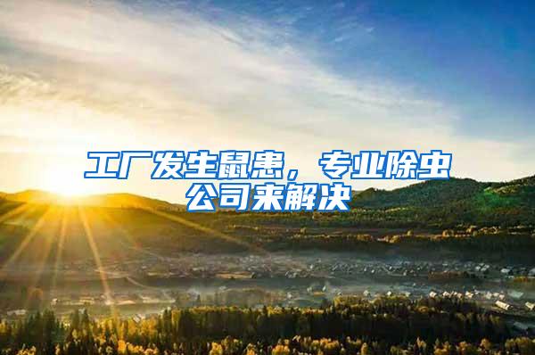 工廠發(fā)生鼠患，專業(yè)除蟲公司來解決