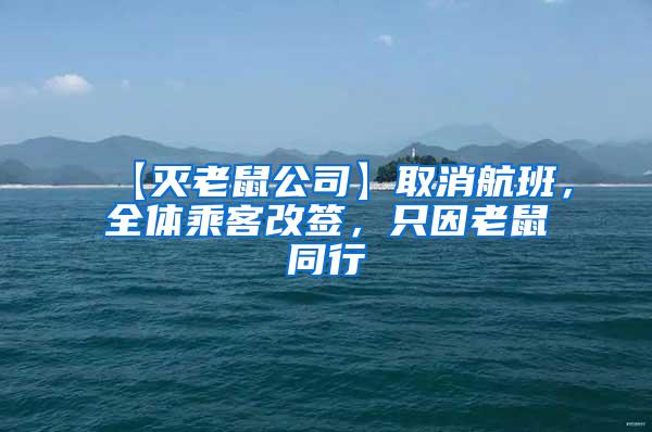 【滅老鼠公司】取消航班，全體乘客改簽，只因老鼠同行