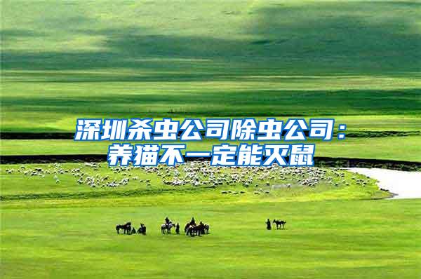 深圳殺蟲(chóng)公司除蟲(chóng)公司:養(yǎng)貓不一定能滅鼠