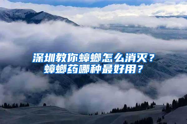 深圳教你蟑螂怎么消滅？蟑螂藥哪種最好用？