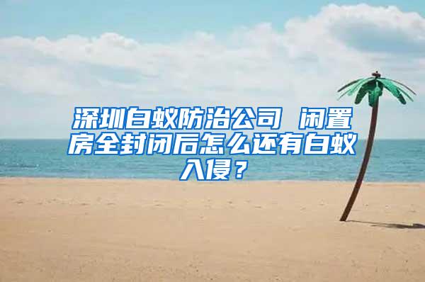 深圳白蟻防治公司 閑置房全封閉后怎么還有白蟻入侵？
