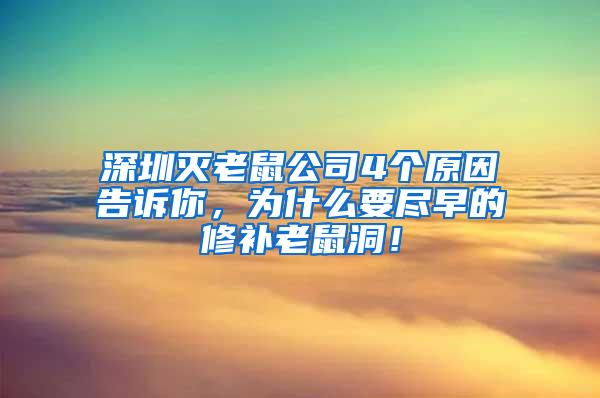 深圳滅老鼠公司4個原因告訴你，為什么要盡早的修補老鼠洞！