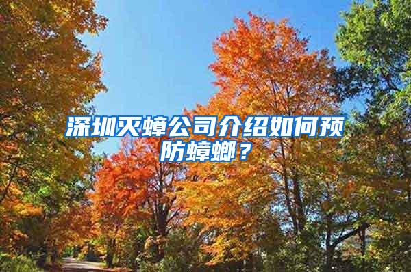 深圳滅蟑公司介紹如何預防蟑螂?