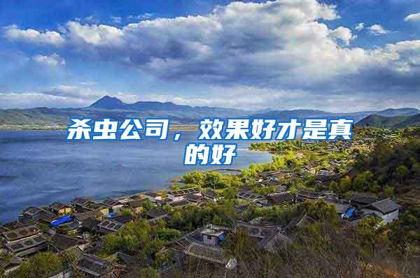殺蟲公司，效果好才是真的好