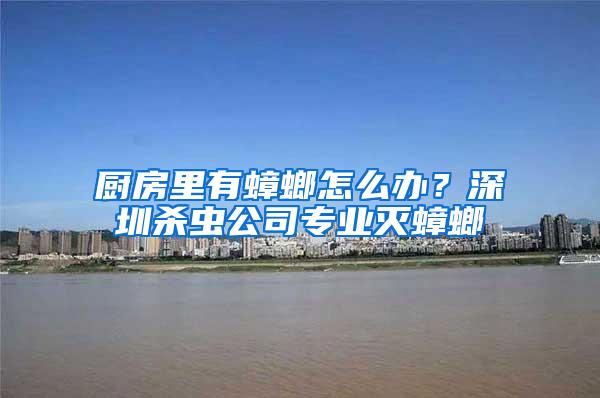 廚房里有蟑螂怎么辦？深圳殺蟲公司專業(yè)滅蟑螂
