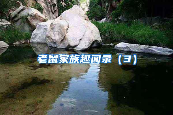 老鼠家族趣聞錄(3)