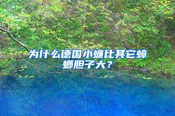 為什么德國(guó)小蠊比其它蟑螂膽子大?
