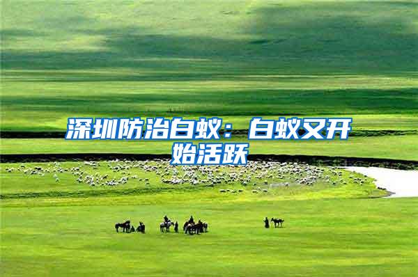 深圳防治白蟻:白蟻又開始活躍