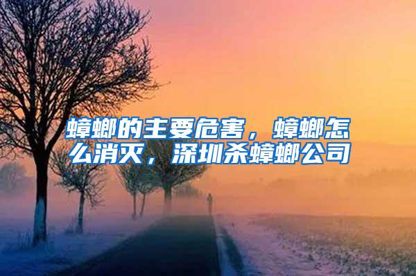 蟑螂的主要危害，蟑螂怎么消滅，深圳殺蟑螂公司