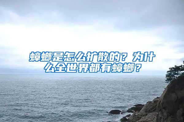 蟑螂是怎么擴(kuò)散的？為什么全世界都有蟑螂？