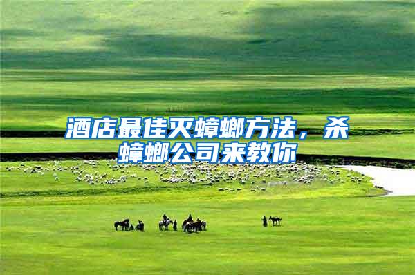 酒店最佳滅蟑螂方法，殺蟑螂公司來教你