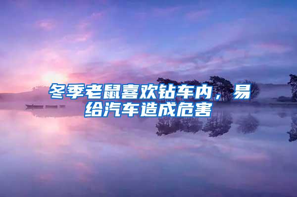 冬季老鼠喜歡鉆車內(nèi)，易給汽車造成危害