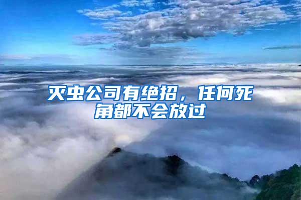 滅蟲公司有絕招,任何死角都不會放過