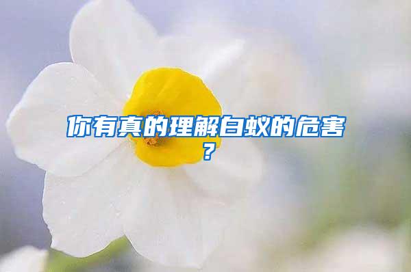你有真的理解白蟻的危害？