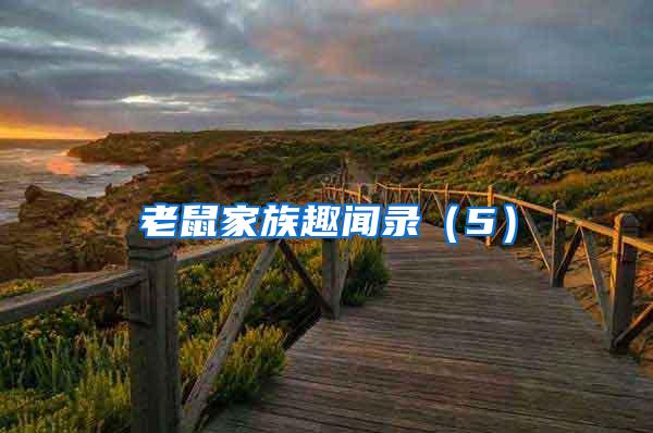 老鼠家族趣聞錄(5)