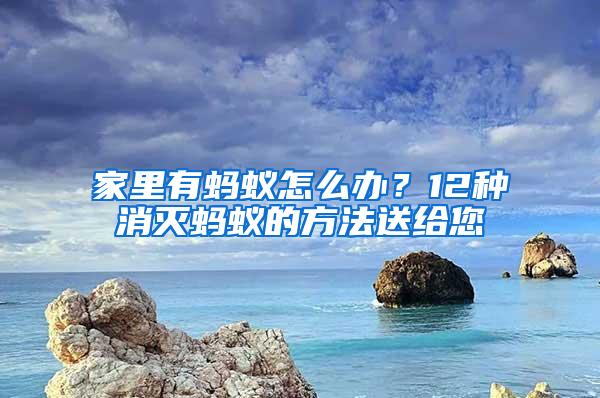 家里有螞蟻怎么辦？12種消滅螞蟻的方法送給您