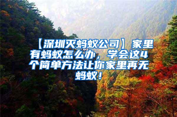 【深圳滅螞蟻公司】家里有螞蟻怎么辦，學(xué)會(huì)這4個(gè)簡(jiǎn)單方法讓你家里再無螞蟻！