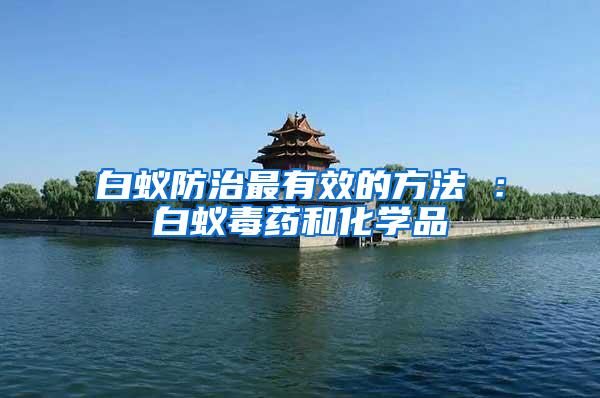 白蟻防治最有效的方法 :白蟻毒藥和化學品