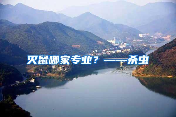 滅鼠哪家專業(yè)？——?dú)⑾x