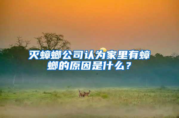 滅蟑螂公司認為家里有蟑螂的原因是什么？