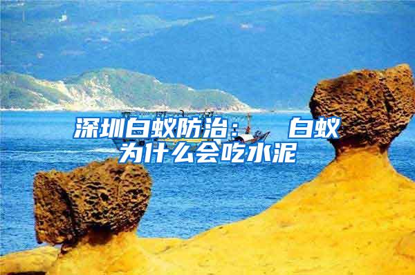 深圳白蟻防治: 白蟻為什么會吃水泥