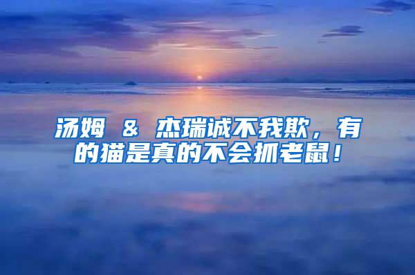 湯姆 & 杰瑞誠(chéng)不我欺，有的貓是真的不會(huì)抓老鼠！