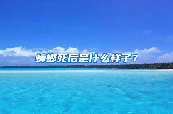 蟑螂死后是什么樣子？