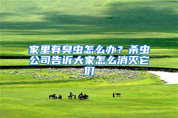 家里有臭蟲(chóng)怎么辦？殺蟲(chóng)公司告訴大家怎么消滅它們