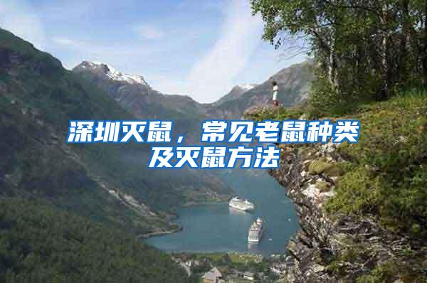 深圳滅鼠，常見老鼠種類及滅鼠方法