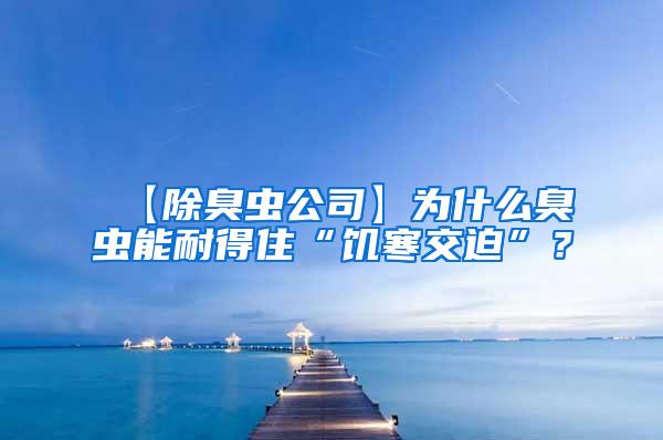 【除臭蟲(chóng)公司】為什么臭蟲(chóng)能耐得住“饑寒交迫”？