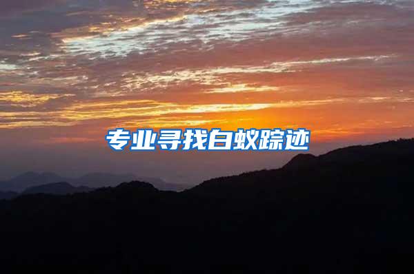 專(zhuān)業(yè)尋找白蟻蹤跡