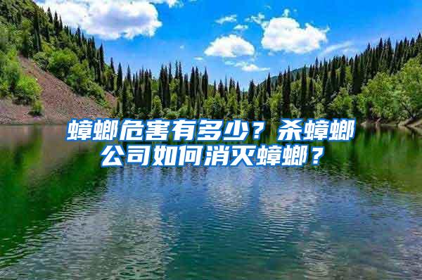蟑螂危害有多少？殺蟑螂公司如何消滅蟑螂？